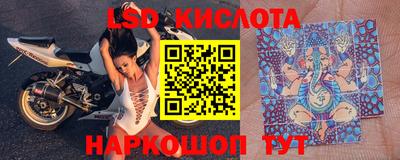 ешки Можга