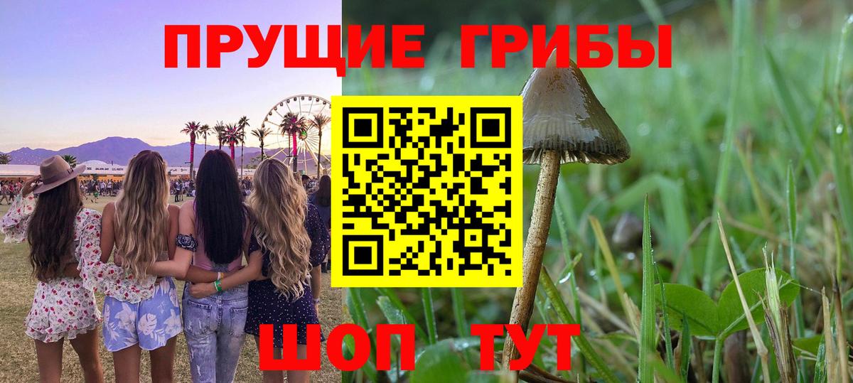 Галлюциногенные грибы Psilocybe  купить  сайты  Рязань  Вход с VPN  Галлюциногенные грибы мухоморы 