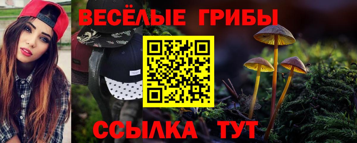 Псилоцибиновые грибы GOLDEN TEACHER Рязань